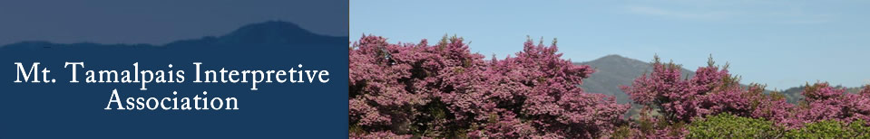 Mt. Tamalpais Interpretive Association