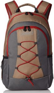coleman-soft-backpack-cooler